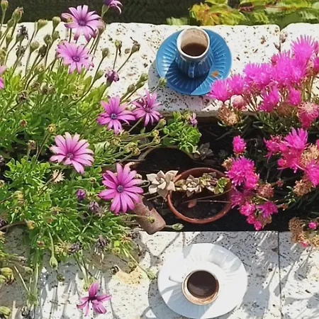 Taskonak 베르가마