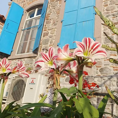 Taskonak Hotel 3*