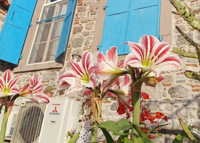 Taskonak Ξενοδοχείο 3*